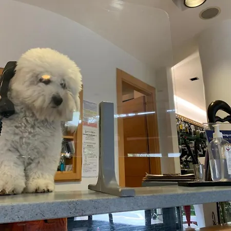 Logonovo 3* Llido Degli Estensi