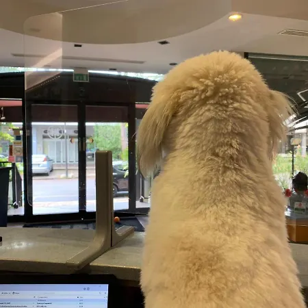 Logonovo Отель 3*