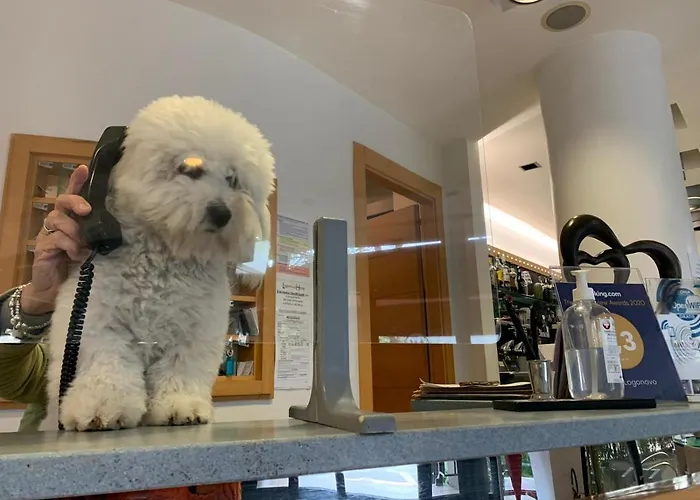 Logonovo 3* Llido Degli Estensi