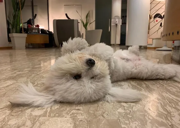 Logonovo Hotel Llido Degli Estensi